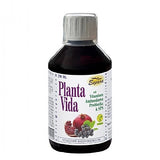 Planta Vida Kräuter Basis Elixier Espara - Vitalstoff-Elixier