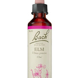 Original Bach®-Blüte Nr. 11 Elm – Ulme