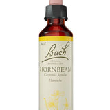 Original Bach®-Blüte Nr. 17 Hornbeam – Hainbuche