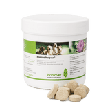 PlantaHepar® 800mg Tabletten - Ergänzungsfuttermittel für Hunde zur Unterstützung des Pankreas- und Leberstoffwechsels