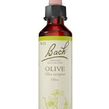 Original Bach®-Blüte Nr. 23 Olive – Olive