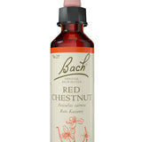 Original Bach®-Blüte Nr. 25 Red Chestnut – Rote Kastanie