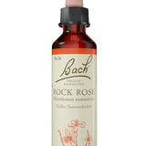 Original Bach®-Blüte Nr. 26 Rock Rose – Gelbes Sonnenröschen