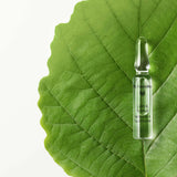 Calm & Balance Ampoules - bisher: Tag- und Nachtkur sensitiv – Bild 3