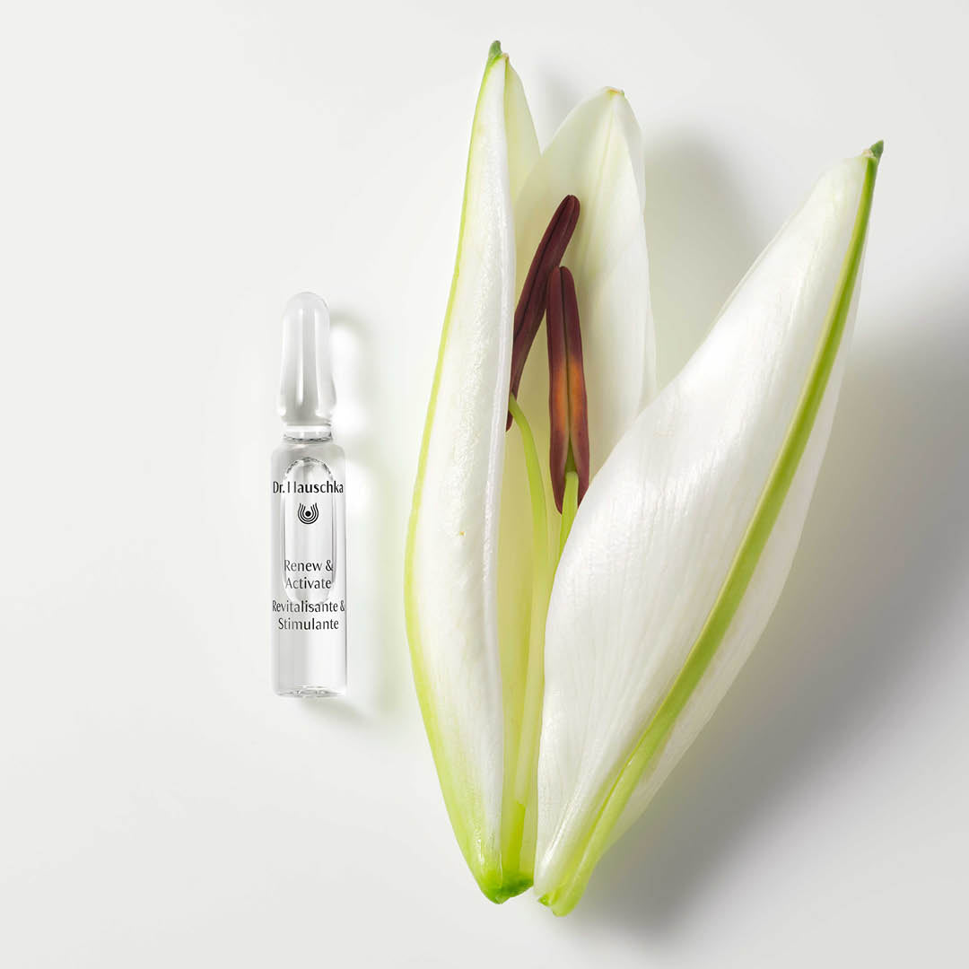 Renew & Activate Ampoules – Bild 3