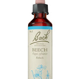 Original Bach®-Blüte Nr. 3 Beech – Rotbuche