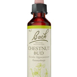 Original Bach®-Blüte Nr. 7 Chestnut Bud – Kastanienknospe