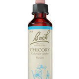 Original Bach®-Blüte Nr. 8 Chicory – Wegwarte
