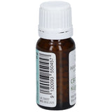 CBD Hanf Xylit Kügelchen mit frischer Bio-Minze