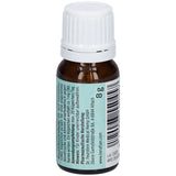 CBD Hanf Xylit Kügelchen mit frischer Bio-Minze