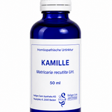 Kamille Urt. (Matricaria recutita Urt.)