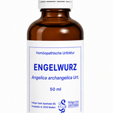 Engelwurz Urt. (Angelica archangelica Urt.)