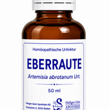 Eberraute Urt. (Artemisia abrotanum Urt.)