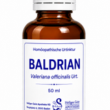 Baldrian Urt. (Valeriana officinalis Urt.)