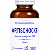 Artischocke Urt. (Cynara scolymus Urt.)