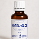 Artischocke Urt. (Cynara scolymus Urt.)