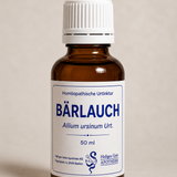 Bärlauch Urt. (Allium ursinum Urt.)