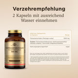 Solgar Flohsamenschalen 500 mg Kapseln – Bild 6