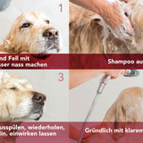 ALLERDERM Empfindliche Haut - Dermatologisches Shampoo für Hunde und Katzen