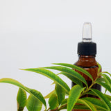 PREPARAR TINTURAS DE HIERBAS MEDICINALES A MEDIDA