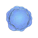 LIPIKARFLUIDE – Abbildung – Bild 1