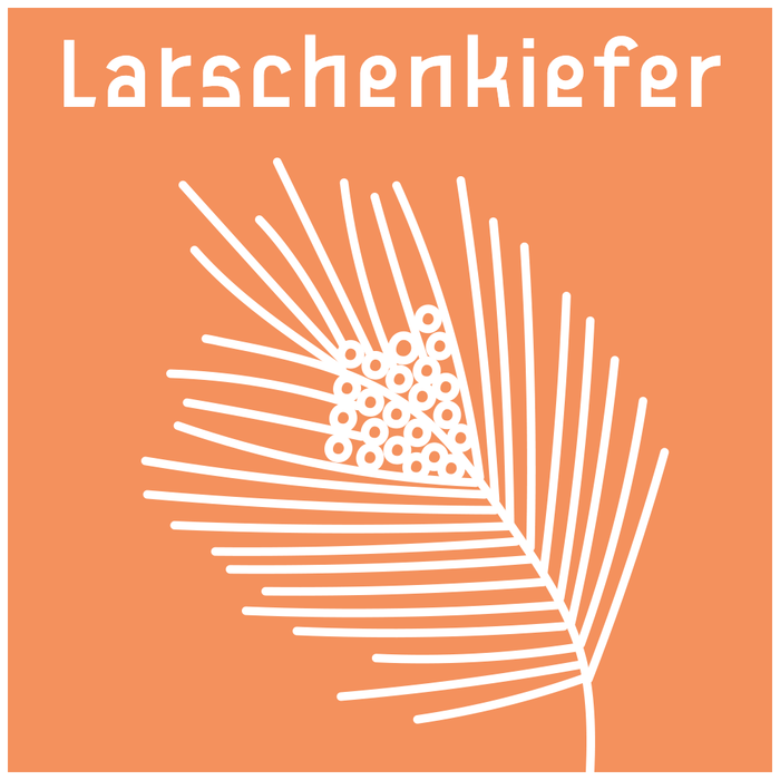 {"loading" => "lazy", "sizes" => nil, "widths" => "165, 360, 535, 750, 1070, 1500"}