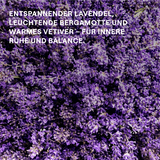 Relax Shower Cream Lavendel – Bild 2