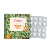 Similasan Tabletten bei Übelkeit und Erbrechen – Homöopathisches Arzneimittel bei Reisekrankheit und Übelkeit