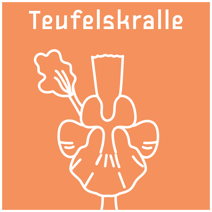 {"loading" => "lazy", "sizes" => nil, "widths" => "165, 360, 535, 750, 1070, 1500"}